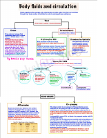 BODY FLUIDS AND CIRCULATION .pdf